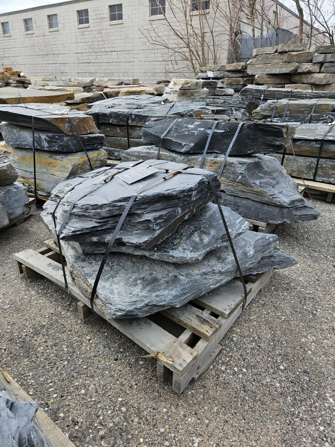 Virginia Slate Outcropping Slabs Birch Tree Bark Stone