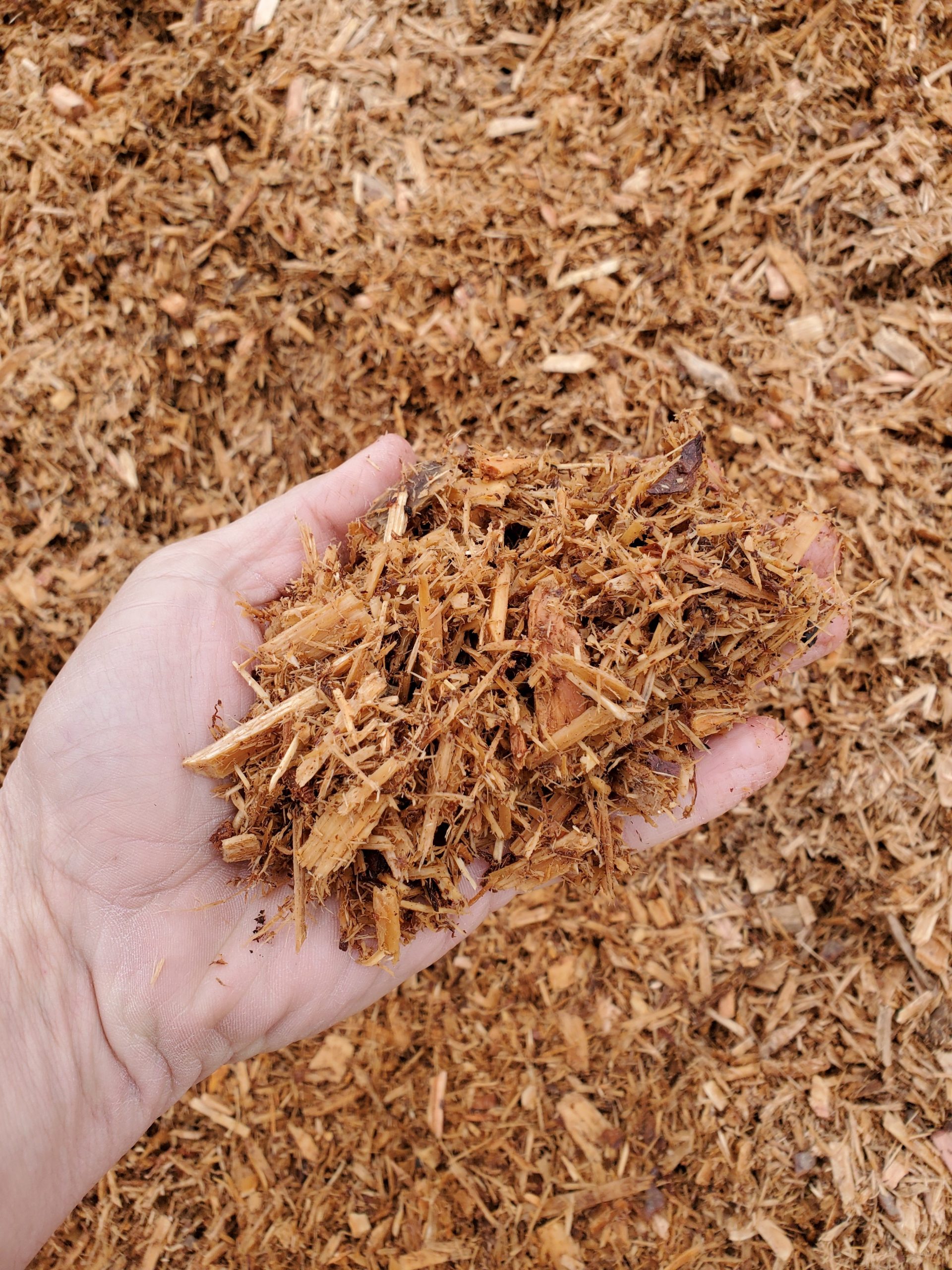 Clean Wood Chips (price per cubic yard)