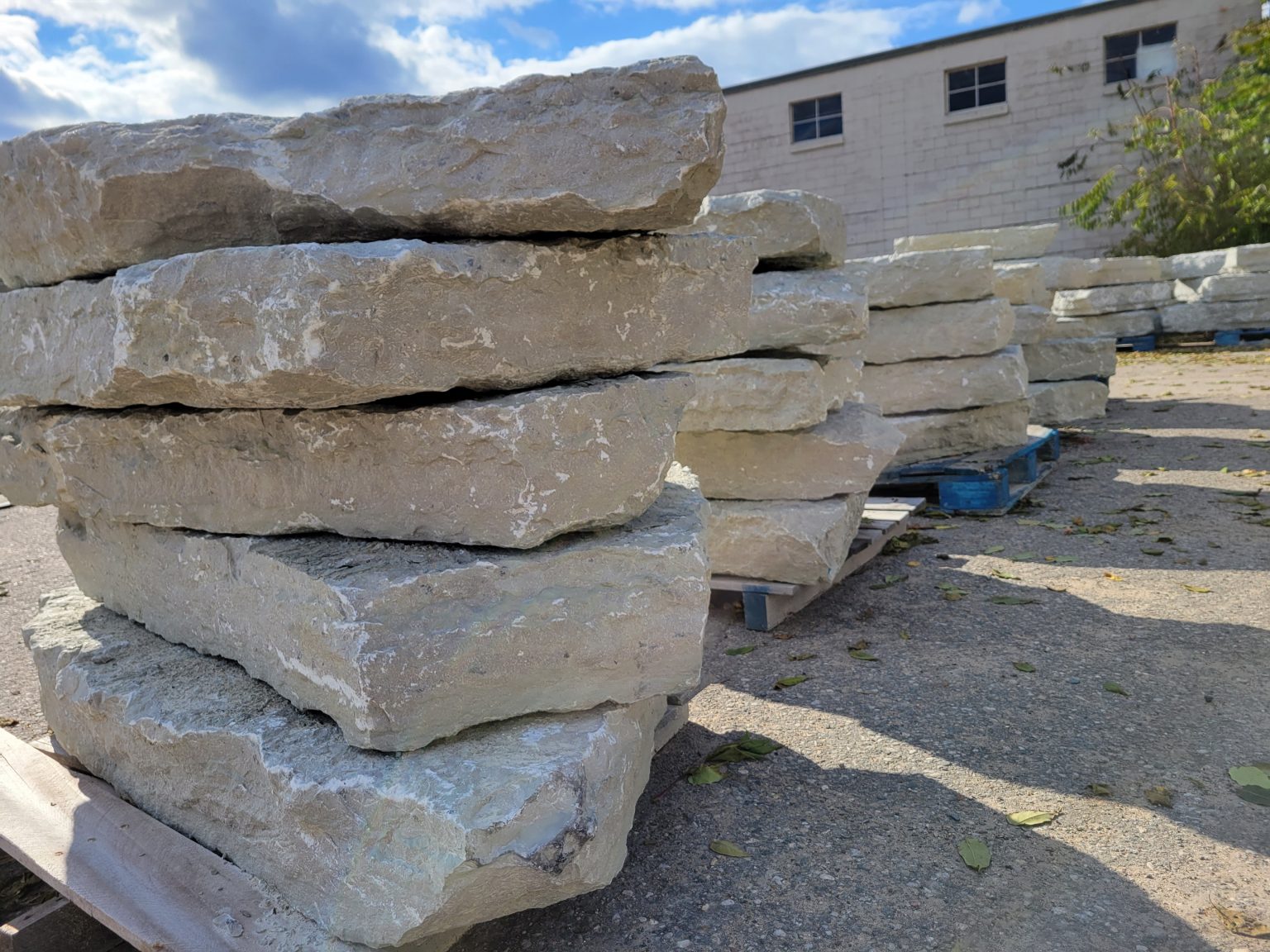 Canyon Grey Outcropping | Birch Tree Bark & Stone